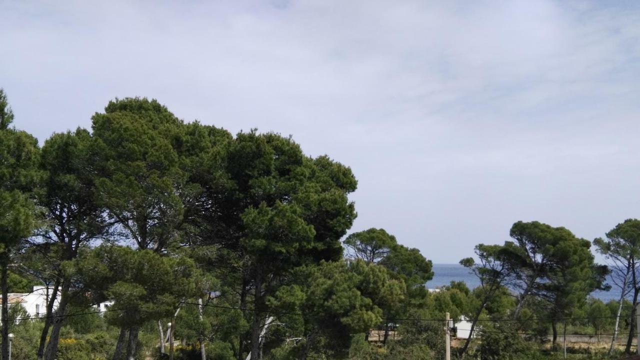 Villa Dream House Cala Ratjada  Esterno foto